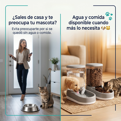 Dispensador Automático para Mascotas | Zenivo